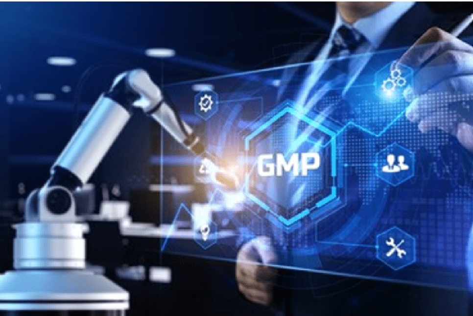 GMP - Good Manufacturing Practices